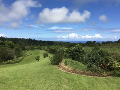 hilo air bnb wedding venue big island hawaii