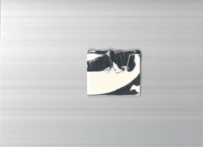 vegan soap body bar
