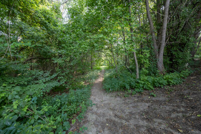 400 Wickham trails (3)