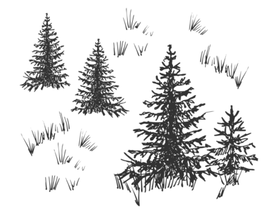 illustration of three trees