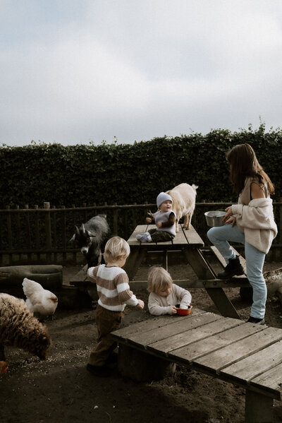 Familieshoot84