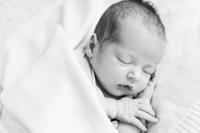 HARRISONNEWBORN-THEEWINGS-008