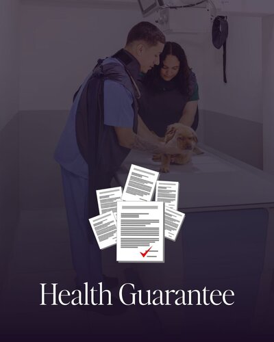 A graphic that says "Health Guarantee" and has an image of a vet visit with a puppy