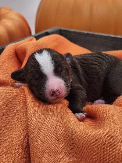 95f694c5-c31c-41c0-baf3-167d769a1e64