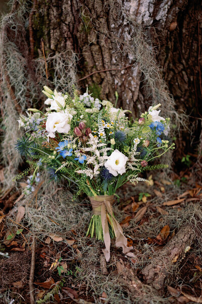 Wedding At Runnymede Plantation, Charleston, SC