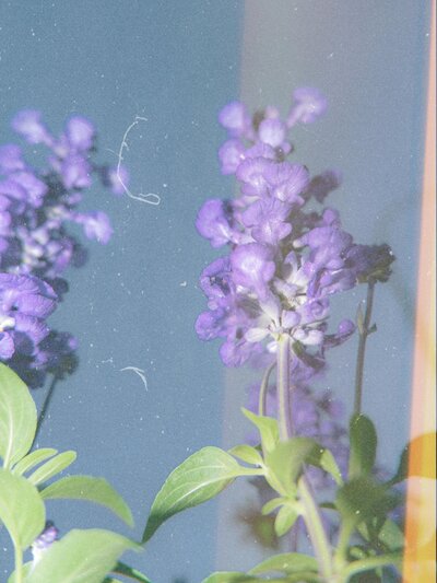 pexels-lany-12375691
