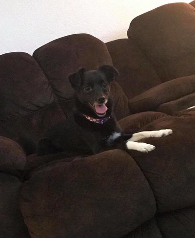 27016330_10155439793618195_1727048933_o