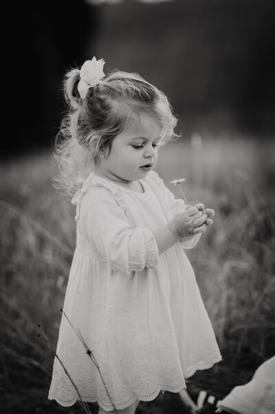 Cute toddler in a white dress holding a dandelion