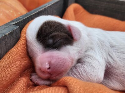 454e632a-0b22-4d27-b79e-8d1050eefacf