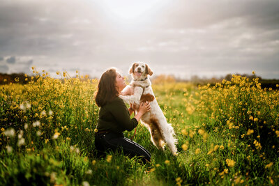A senior girl in a mustard field, plays with her spaniel puppy.