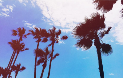 Screen Shot 2017-01-24 at 9.57.29 PM