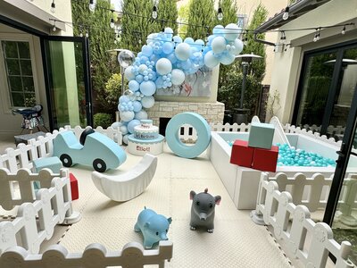 Little Boy Soft Play Birthday Party in  California
