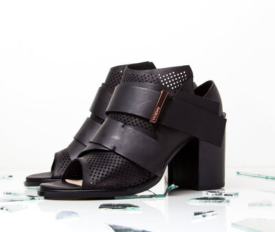 shoe2