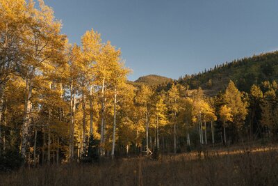 Couple hiking in Breckenridge on their wedding day