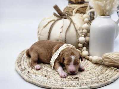 ff93af70-0a61-4583-882d-ff6280e5dbb6