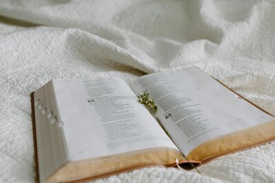 Open Bible laying flat with flowers inside
