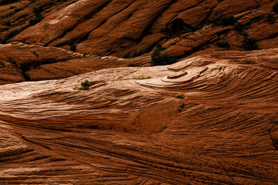web2000_desertshutterspeed_angie_payne_uot-2019_snow-canyon-23-edit