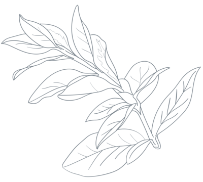 Embodied Healing Counseling and Yoga Branch Logo Accent