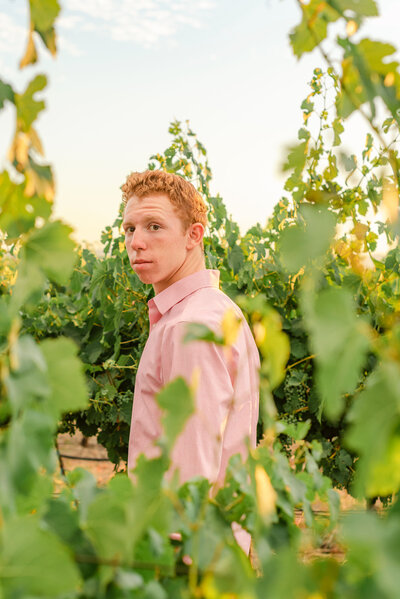 Redheaded senior guy wearing pink shirt in a vineyard by Livermore Senior Photographer Kristen Hazelton