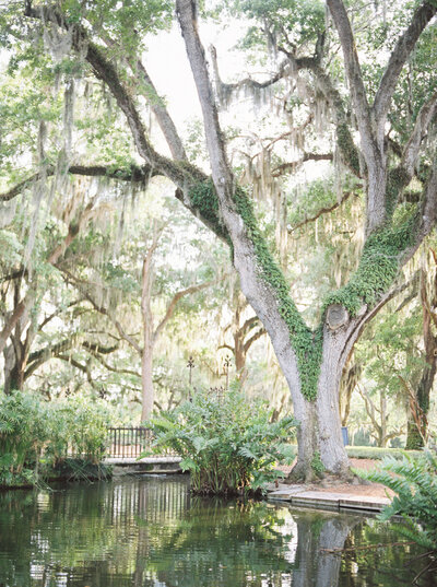2022-bok-tower-engagement-orlando-wedding-mpp-7
