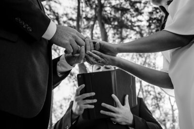 ring ceremony of two hands placing rings on