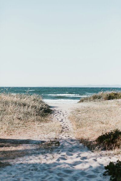 marten-bjork-iXed2ZaTobo-unsplash