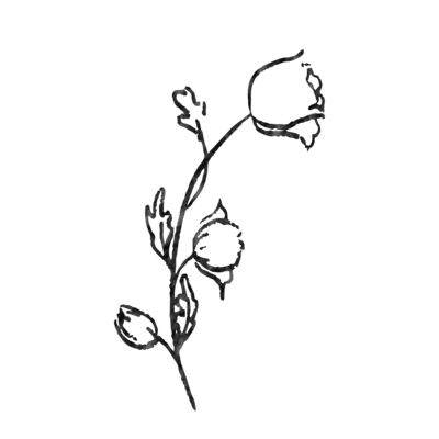flower 1