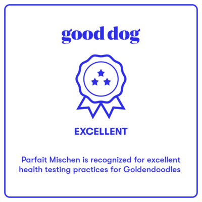 Good Dog- Excellent Rating