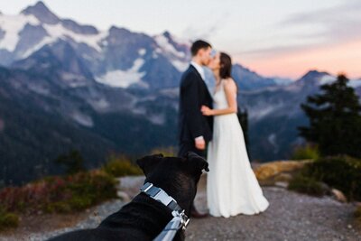 couple kissing with dog watching at Artist Point captured by Washington Elopement Photographer Sage Trails.