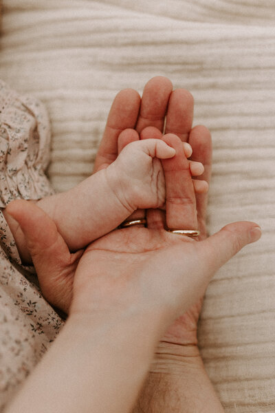 Newborn Baby Hands