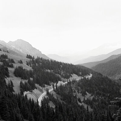 0337599_0337599-R1-E010