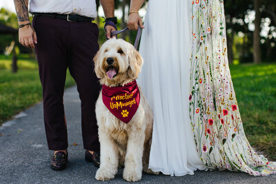 Harry Potter themed Wedding with Goldedoodle Puppy