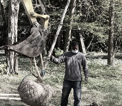 Homme aux côtés d'une pelleteuse pour planter un arbre