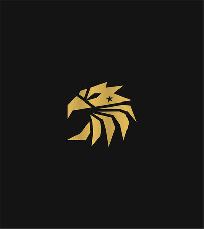 Black and gold logo of eagle and star freedom air