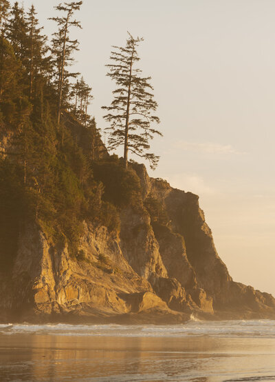 senior portrait in the forest near the oregon coast