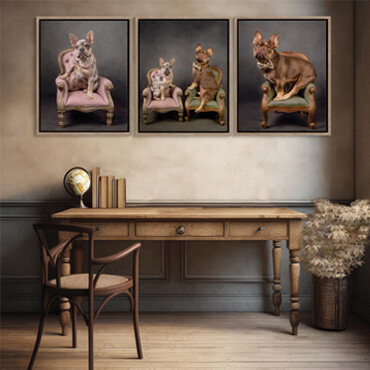 pet photographer newcastle 