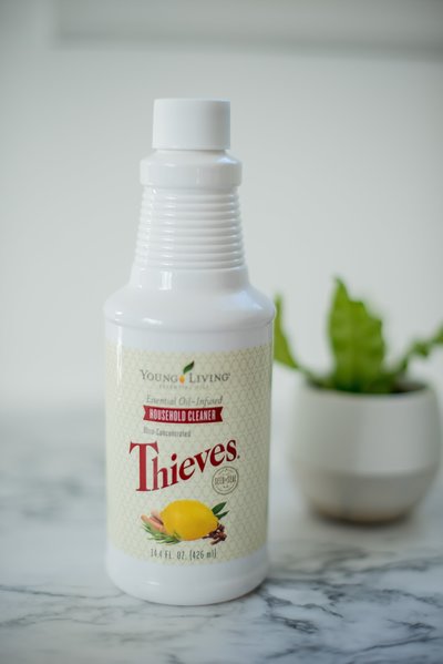 YL photos 2.21.18-53