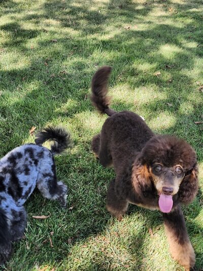 0d11010d-7e98-4c8b-9dac-20cf139602ff