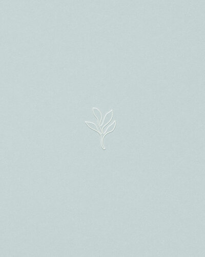 chic-logo-and-brand-design-for-wellness-and beauty-studio