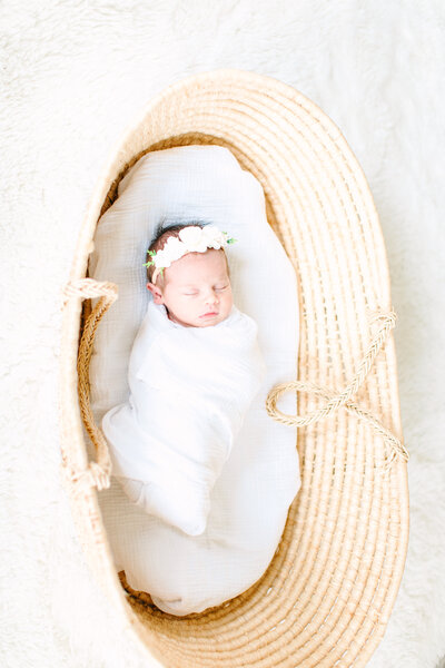 arnold maryland newborn portraits