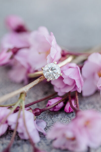 madeleine_broc_engaged-4093