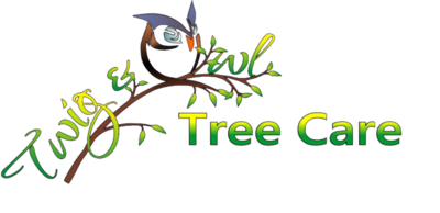 Twig & Owl Tree care logo