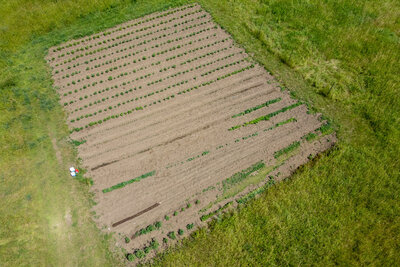 13762 Loyalist Parkway aerial drone (25)