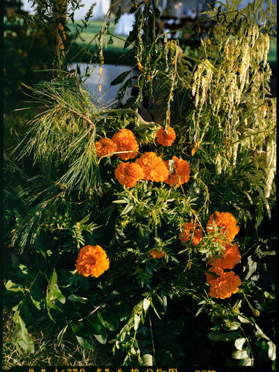 Boston wedding florals film photographer