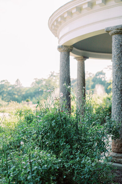 A green plant with flowers next to a building with pillars by Katie Stansfield Photography, a family photographer in Richmond.