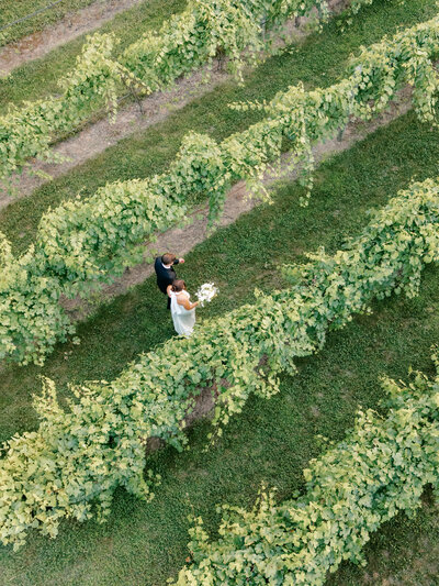 Drone image of a bride and groom walk through a green vineyard hand in hand during golden hour.