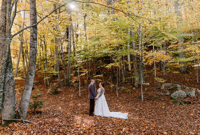 couple holding hands among the trees