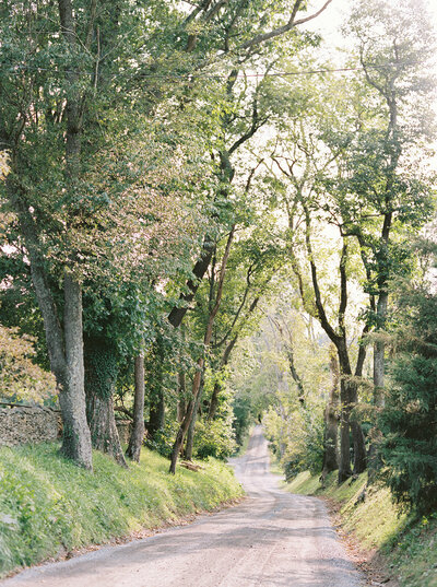 Romantic tree-lined drive at a luxury estate wedding venue, perfect for Seattle or DC wedding weekend coverage at Goodstone Inn in Middleburg VA