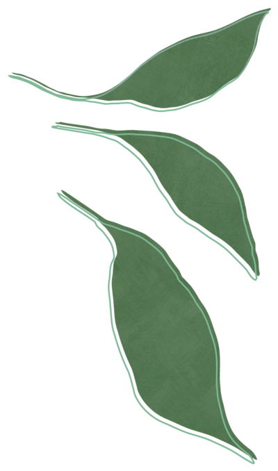 Lori Lubbers Counseling Leaf Design
