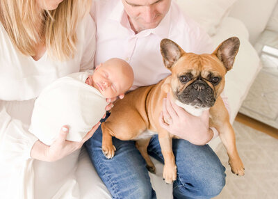 A couple holding a Frenchie and their baby girl
